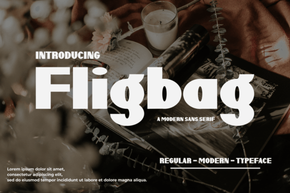 Fligbag: A Modern Sans Display Font for High-Impact Campaigns