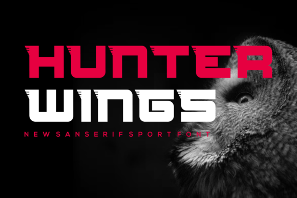 Hunterwings: Bold Display Fonts for High-Impact Web Design