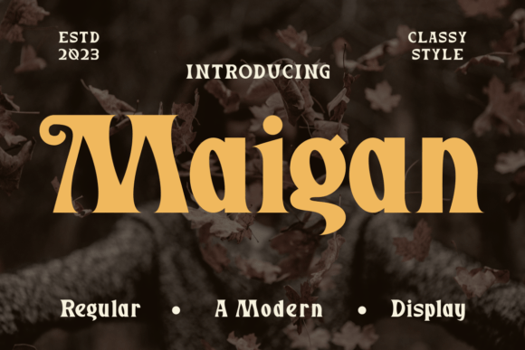 Maigan Typeface Review: Elevating Bold Display Design for Digital Campaigns