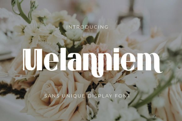 Melanniem: The Modern Sans-Serif Display Font for Bold Branding