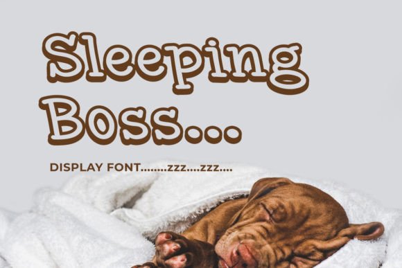 Sleeping Boss: A Minimalist Modern Display Font for Editorial Design